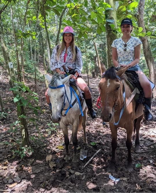Walbeobachtung + Cayo Levantado + El Limón-Wasserfall-Safari ab Sabana de la Mar — Guided tour and outdoor activity