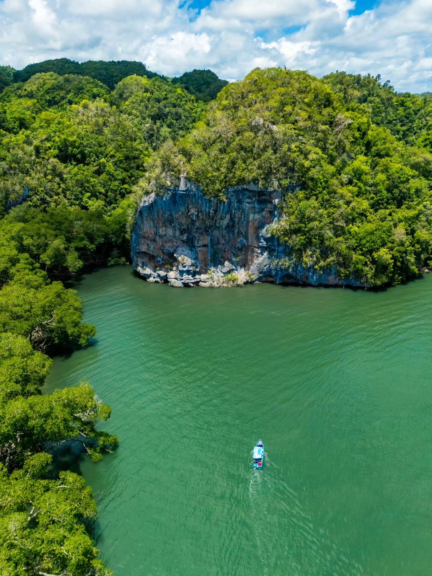Los Haitises National Park: Boat Tour with Caves Visit — Guided tour and outdoor activity