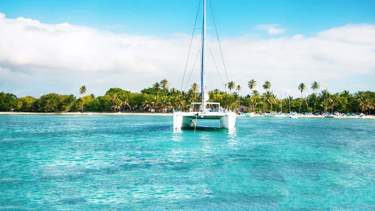 From Punta Cana: Isla Saona Full-Day Tour with Buffet Lunch — Guided tour and outdoor activity