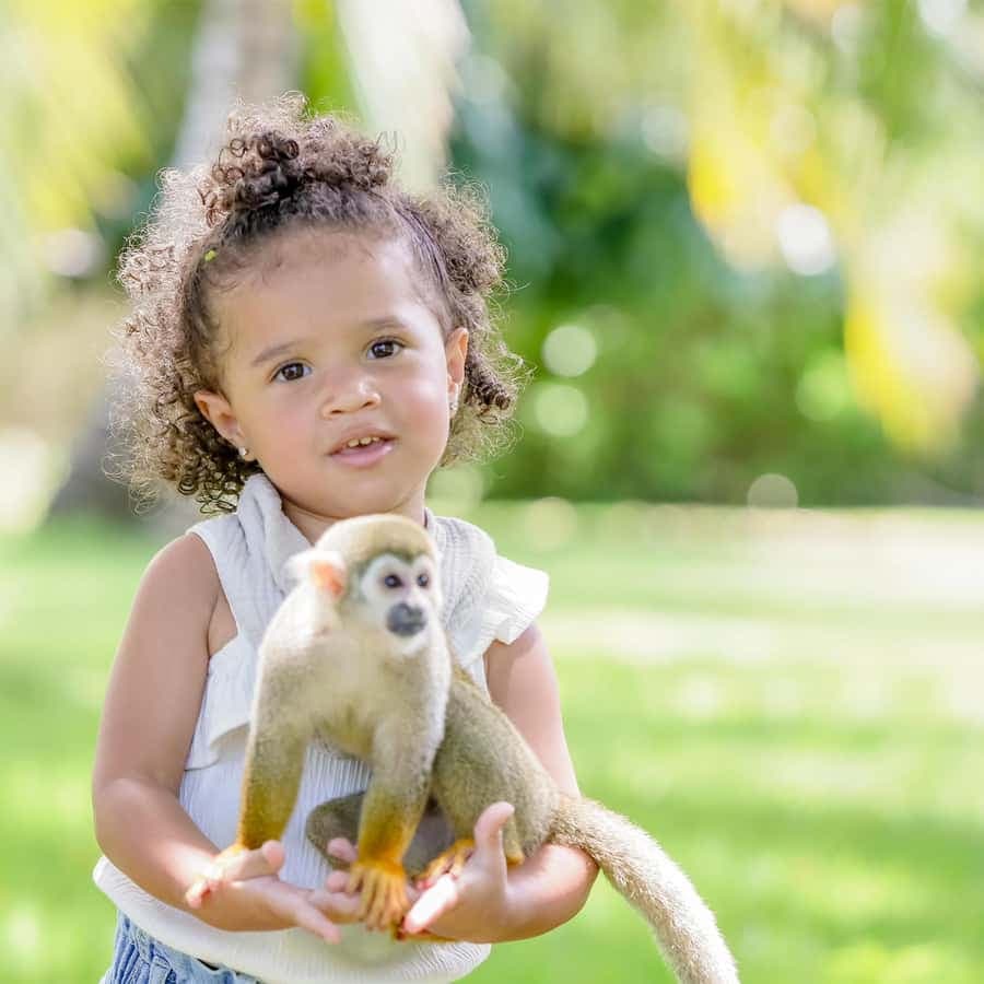 Punta Cana: Tour Monkey Adventure With Hotel Pick Up — Guided tour and outdoor activity