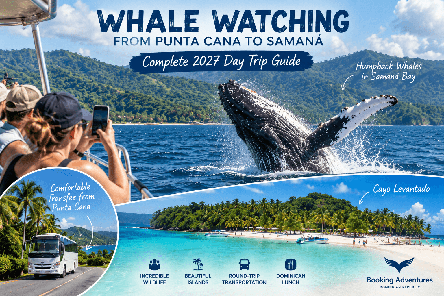 Avistamiento de ballenas desde Punta Cana a Samaná: guía completa de excursión de un día 2027