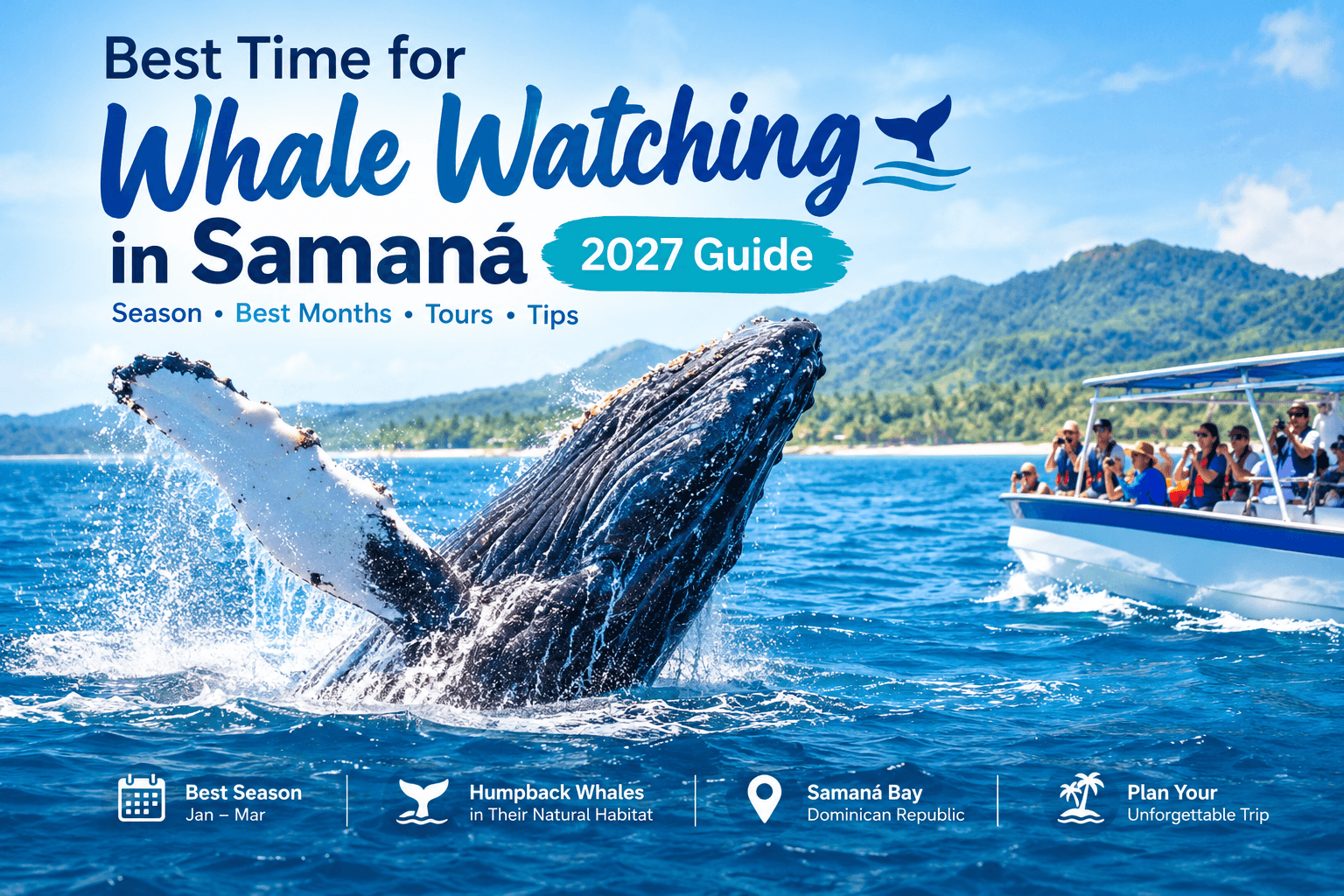 Beste Zeit für Walbeobachtung in Samaná: Leitfaden 2027 - Samaná Bay Whale Watching Guide